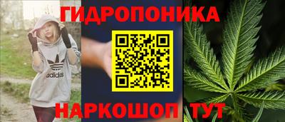 дмт Бузулук