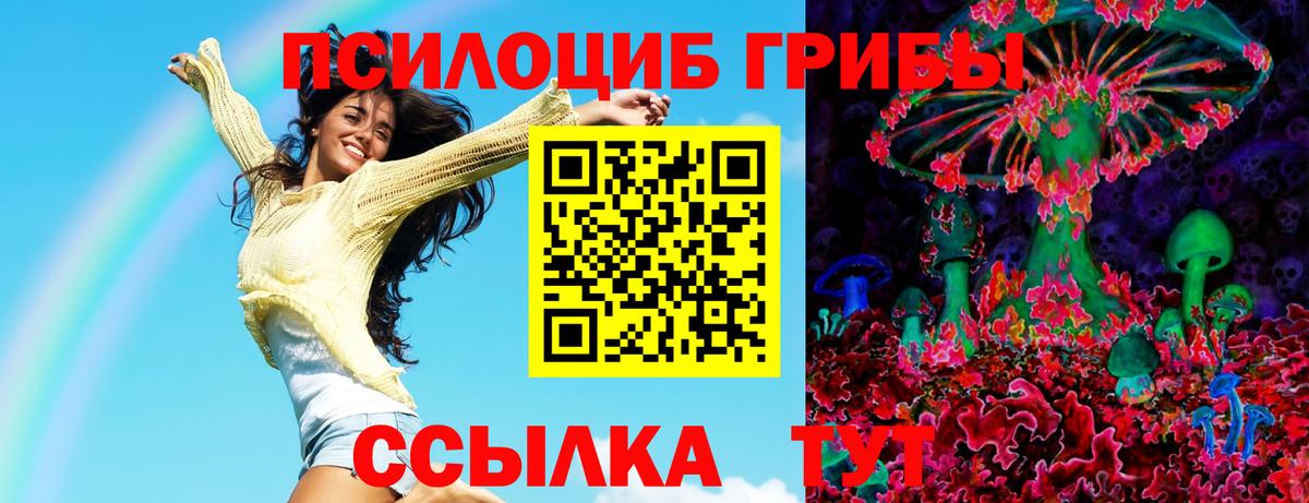Унеча  Псилоцибиновые грибы Magic Shrooms  Вход с VPN 